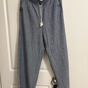 Casual linen style Blue Striped Pants lane bryant. NWT